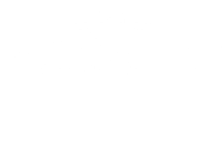 Border Model Aircraft Club Logo